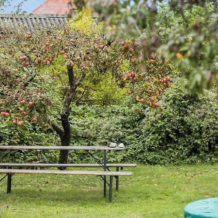 Tatil Evi 5597-svaneke-munken-7 Svaneke